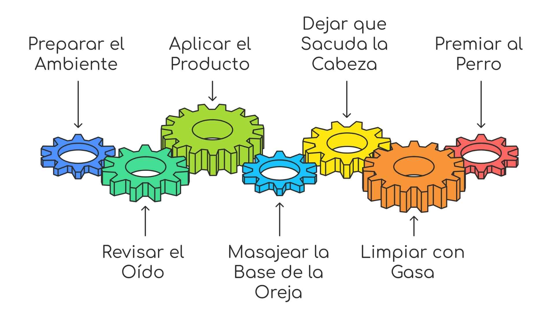 esquema paso a paso